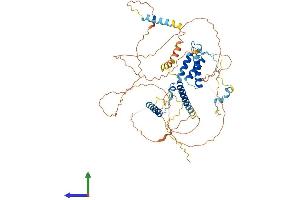 AlphaFold protein structure predicition of Mouse Recombinant Spata7 Protein, UniprotID Q80VP2