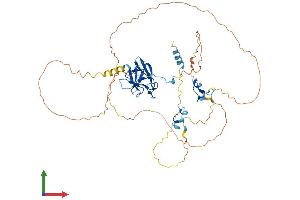 AlphaFold protein structure predicition of Mouse Recombinant Aplf Protein, UniprotID Q9D842
