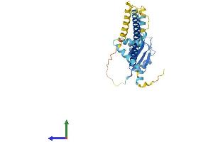 AlphaFold protein structure predicition of Mouse Recombinant Abt1 Protein, UniprotID Q9QYL7