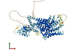 AlphaFold protein structure predicition of Mouse Recombinant Clcn3 Protein, UniprotID P51791