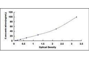 ELISA image for serine Peptidase Inhibitor, Kazal Type 1 (SPINK1) ELISA Kit (ABIN422754)