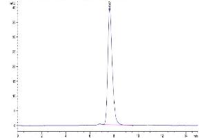 The purity of Biotinylated Human FGFR2 alpha (IIIc) is greater than 95 % as determined by SEC-HPLC.