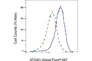 Flow cytometric analysis of ATG4C expression in HeLa cells using ATG4C antibody (ABIN7797712), 1:2,000).