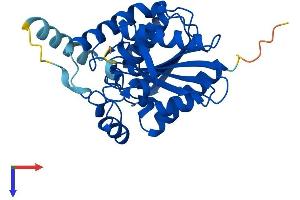 AlphaFold protein structure predicition of Human Recombinant MGLL Protein, UniprotID Q99685