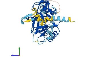 AlphaFold protein structure predicition of Human Recombinant SETD9 Protein, UniprotID Q8NE22