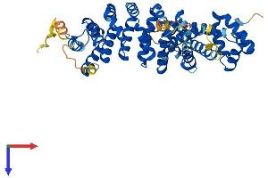AlphaFold protein structure predicition of Human Recombinant SAAL1 Protein, UniprotID Q96ER3