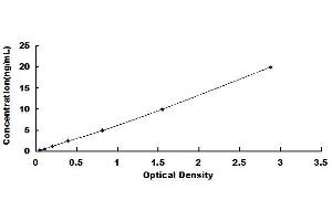 Typical standard curve