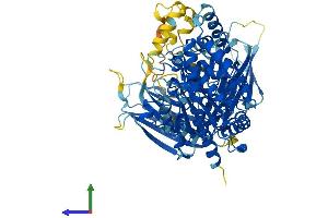 AlphaFold protein structure predicition of Human Recombinant PLA2G4B Protein, UniprotID P0C869