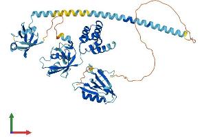 AlphaFold protein structure predicition of Human Recombinant USH1C Protein, UniprotID Q9Y6N9
