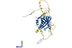 AlphaFold protein structure predicition of Mouse Recombinant Tead2 Protein, UniprotID P48301