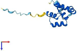 AlphaFold protein structure predicition of Mouse Recombinant Plac8 Protein, UniprotID Q9JI48