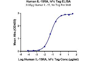 Immobilized Human IL-15, No Tag at 0. (IL15RA Protein (Fc Tag))