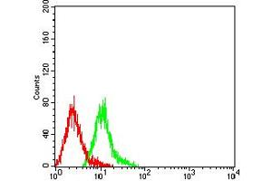 Flow cytometric analysis of HL-60 cells using CD49C mouse mAb (green) and negative control (red).
