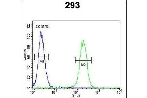 Roundabout 4 Antibody (N-term) (ABIN651292 and ABIN2840173) flow cytometric analysis of 293 cells (right histogram) compared to a negative control cell (left histogram). (ROBO4 anticorps  (N-Term))