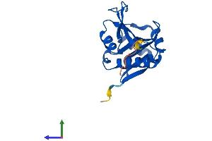 AlphaFold protein structure predicition of Human Recombinant NAA50 Protein, UniprotID Q9GZZ1