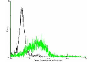FACS analysis of negative control 293 cells (Black) and IL22RA1 expressing 293 cells (Green) using IL22RA1 purified MaxPab mouse polyclonal antibody. (IL22 Receptor alpha 1 anticorps  (AA 1-574))