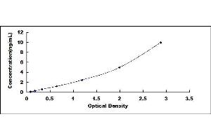 Typical standard curve (MOG Kit ELISA)