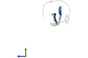 AlphaFold protein structure predicition of Mouse Recombinant Krt12 Protein, UniprotID Q64291