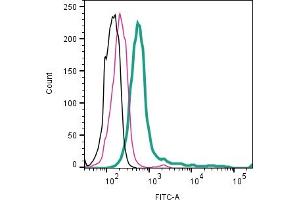 Cell surface detection of p75NTR by indirect flow cytometry in rat glioma C6 cells:Cells only.