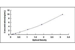 Typical standard curve (BPIFA2 Kit ELISA)