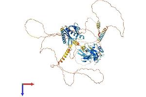 AlphaFold protein structure predicition of Mouse Recombinant Apba1 Protein, UniprotID B2RUJ5