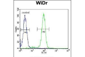Flow cytometric analysis of WiDr cells (right histogram) compared to a negative control cell (left histogram).