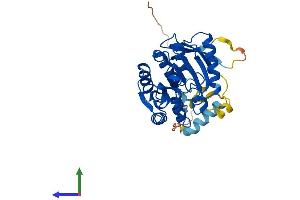 AlphaFold protein structure predicition of Human Recombinant CAMKMT Protein, UniprotID Q7Z624