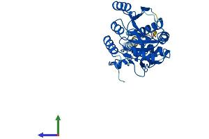 AlphaFold protein structure predicition of Human Recombinant B3GALT5 Protein, UniprotID Q9Y2C3