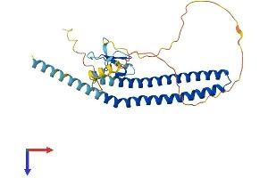 AlphaFold protein structure predicition of Human Recombinant ING2 Protein, UniprotID Q9H160