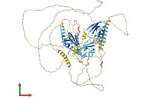 AlphaFold protein structure predicition of Mouse Recombinant Apba1 Protein, UniprotID B2RUJ5