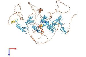 AlphaFold protein structure predicition of Human Recombinant ZNF112 Protein, UniprotID Q9UJU3