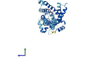 AlphaFold protein structure predicition of Mouse Recombinant Slc25a43 Protein, UniprotID A2A3V2