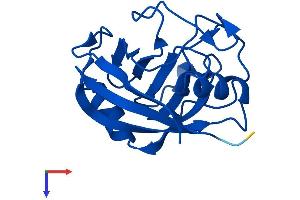 AlphaFold protein structure predicition of Human Recombinant PPIAL4E Protein, UniprotID A0A075B759