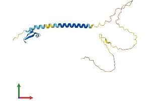 AlphaFold protein structure predicition of Human Recombinant TNFRSF17 Protein, UniprotID Q02223