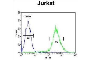 TM173 Antibody (C-term) flow cytometric analysis of Jurkat cells (right histogram) compared to a negative control cell (left histogram). (STING/TMEM173 anticorps  (C-Term))