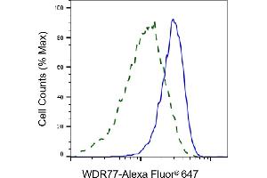 Validation of WDR77 knockdown using flow cytometry.