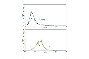 Flow Cytometry (FACS) image for anti-Collagen, Type VI, alpha 1 (COL6A1) antibody (ABIN3002699)