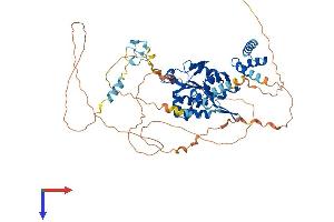AlphaFold protein structure predicition of Human Recombinant ZC3H12A Protein, UniprotID Q5D1E8