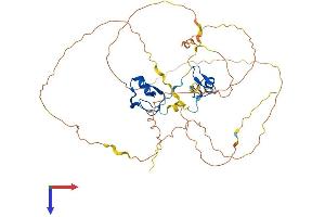 AlphaFold protein structure predicition of Human Recombinant GATA4 Protein, UniprotID P43694