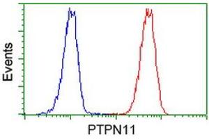 Image no. 3 for anti-Protein tyrosine Phosphatase, Non-Receptor Type 11 (PTPN11) antibody (ABIN1500499)