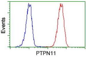 Image no. 3 for anti-Protein tyrosine Phosphatase, Non-Receptor Type 11 (PTPN11) antibody (ABIN1500499) (PTPN11 anticorps)