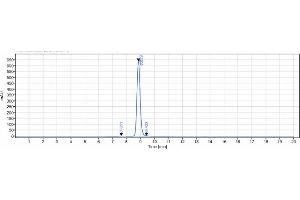 The purity of Anti-VEGFR2 / KDR / CD309 Reference Antibody (ramucirumab) is 99. (Recombinant VEGFR2 (Ramucirumab Biosimilar) anticorps)