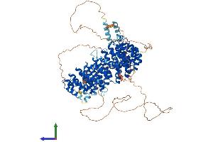 AlphaFold protein structure predicition of Human Recombinant PPP4R1 Protein, UniprotID Q8TF05