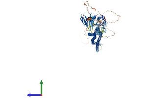 AlphaFold protein structure predicition of Human Recombinant STK10 Protein, UniprotID O94804