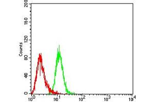 Flow cytometric analysis of Hela cells using BCL2L2 mouse mAb (green) and negative control (red).