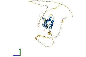AlphaFold protein structure predicition of Human Recombinant HEYL Protein, UniprotID Q9NQ87