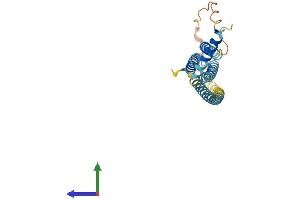 AlphaFold protein structure predicition of Mouse Recombinant Stx8 Protein, UniprotID O88983