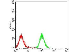 Flow cytometric analysis of Jurkat cells using PPARA mouse mAb (green) and negative control (red).
