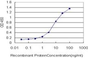 Detection limit for recombinant GST tagged HDAC1 is approximately 0. (HDAC1 anticorps  (AA 1-482))