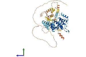 AlphaFold protein structure predicition of Mouse Recombinant Arhgap36 Protein, UniprotID B1AUC7